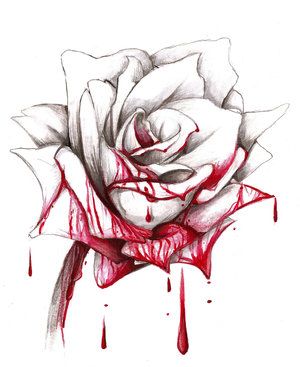 300x367 Drawn Rose Blood Drawing