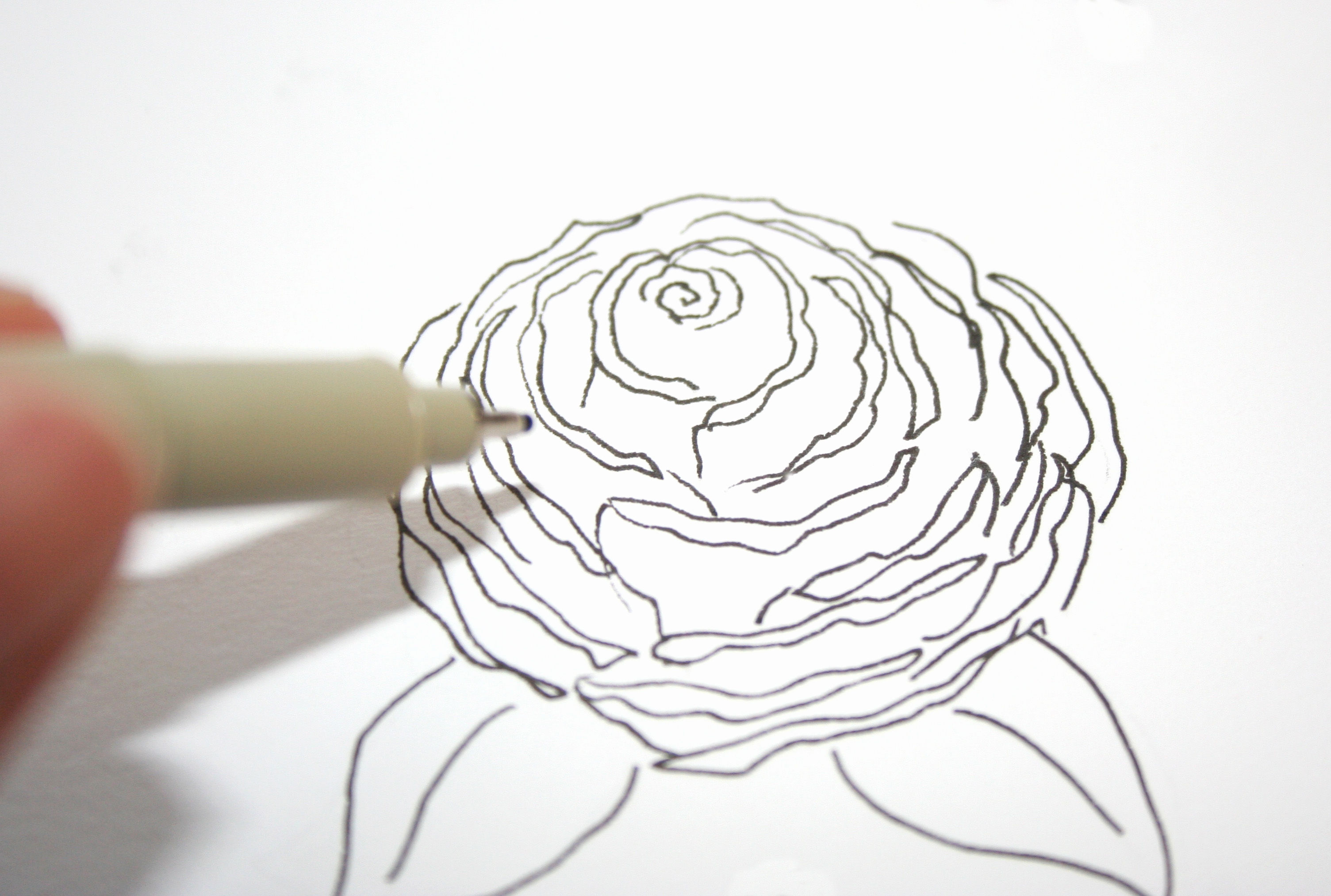 3009x2026 Easy Drawing Rose Fresh Rose Drawing Outline