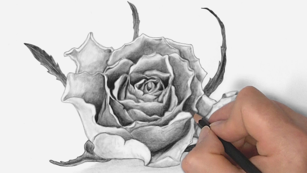 1024x576 Rose Drawings In Pencil How To Draw A Rose With Pencil Drawing