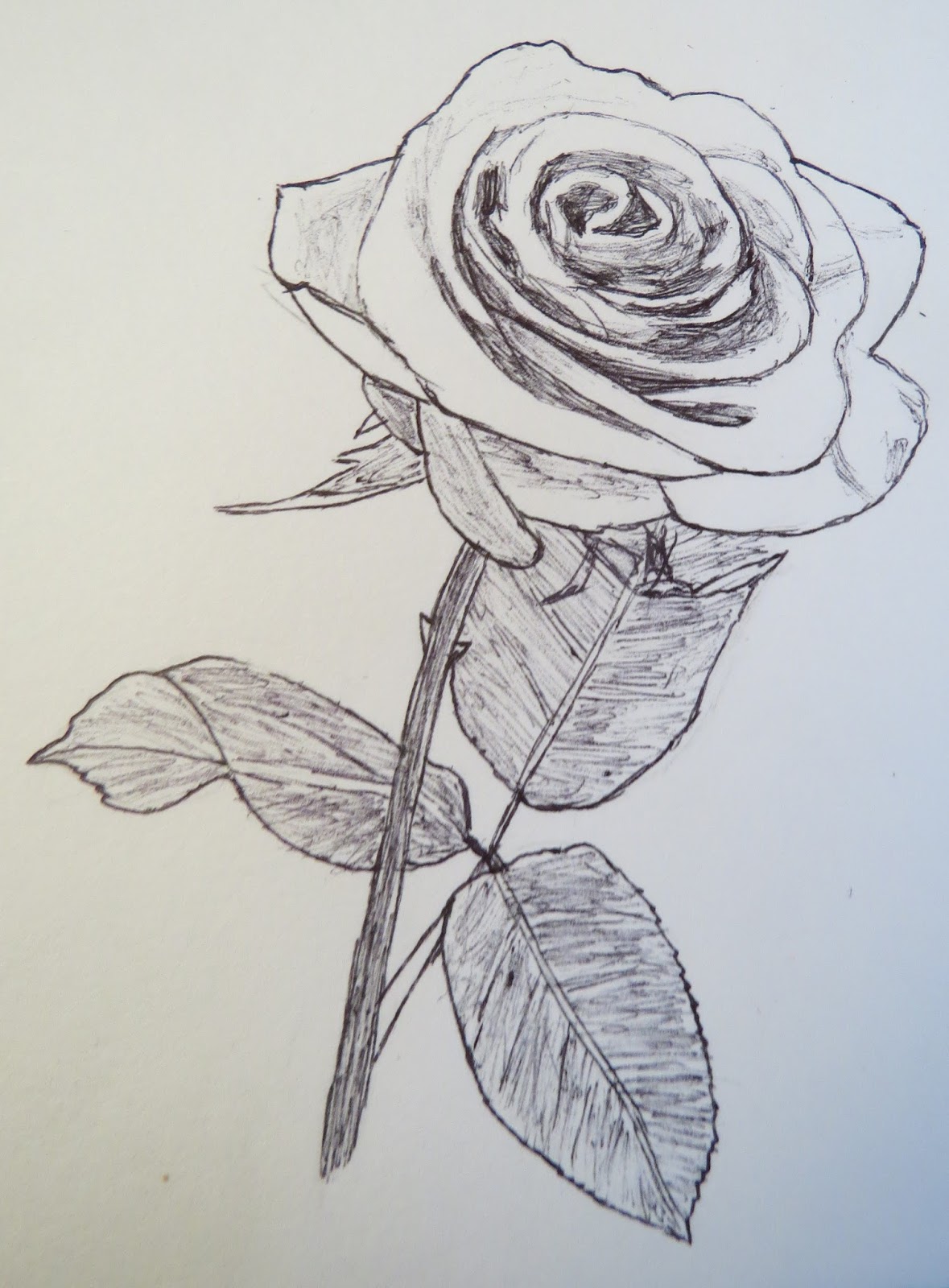 1179x1600 The Autistic Naturalist How To Draw Roses (Valentine's Day Special)