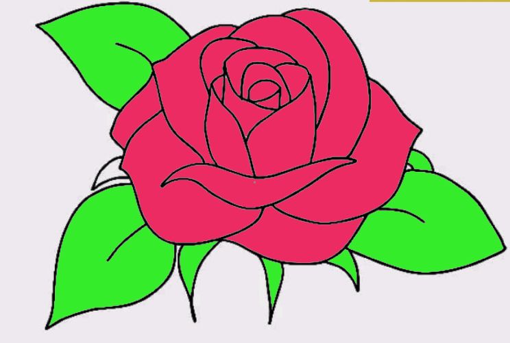 Rose Plant Drawing at GetDrawings | Free download