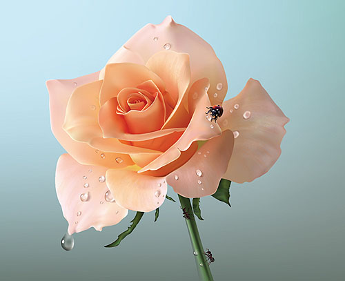 500x407 Premium Tutorial Realistic Vector Rose