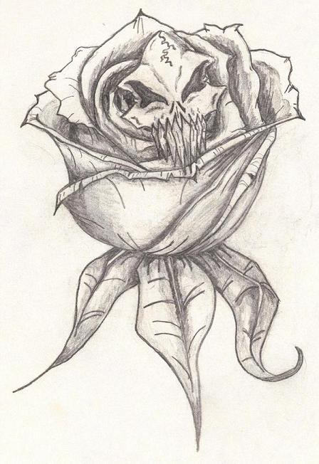 448x652 Skull Rose By Thebigjug