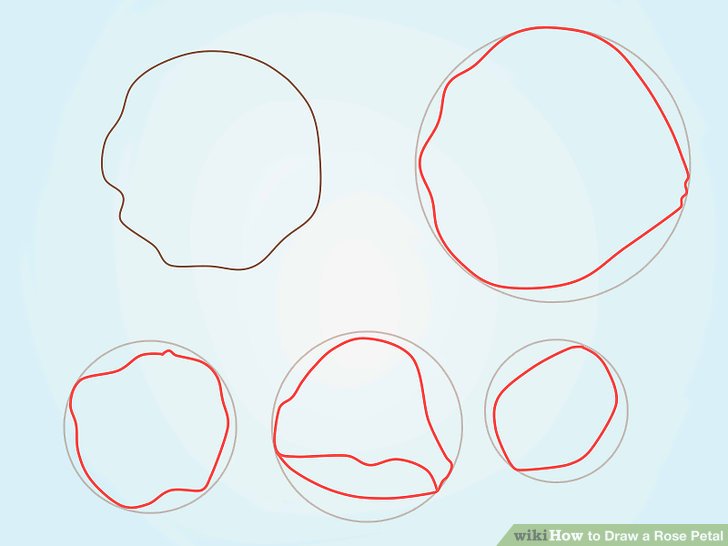 728x546 How To Draw A Rose Petal 6 Steps (With Pictures)