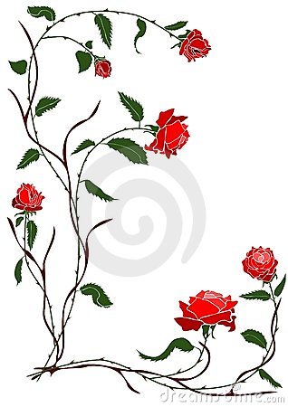 318x450 Red Rose Vine Illustration Rose Vines, Rose
