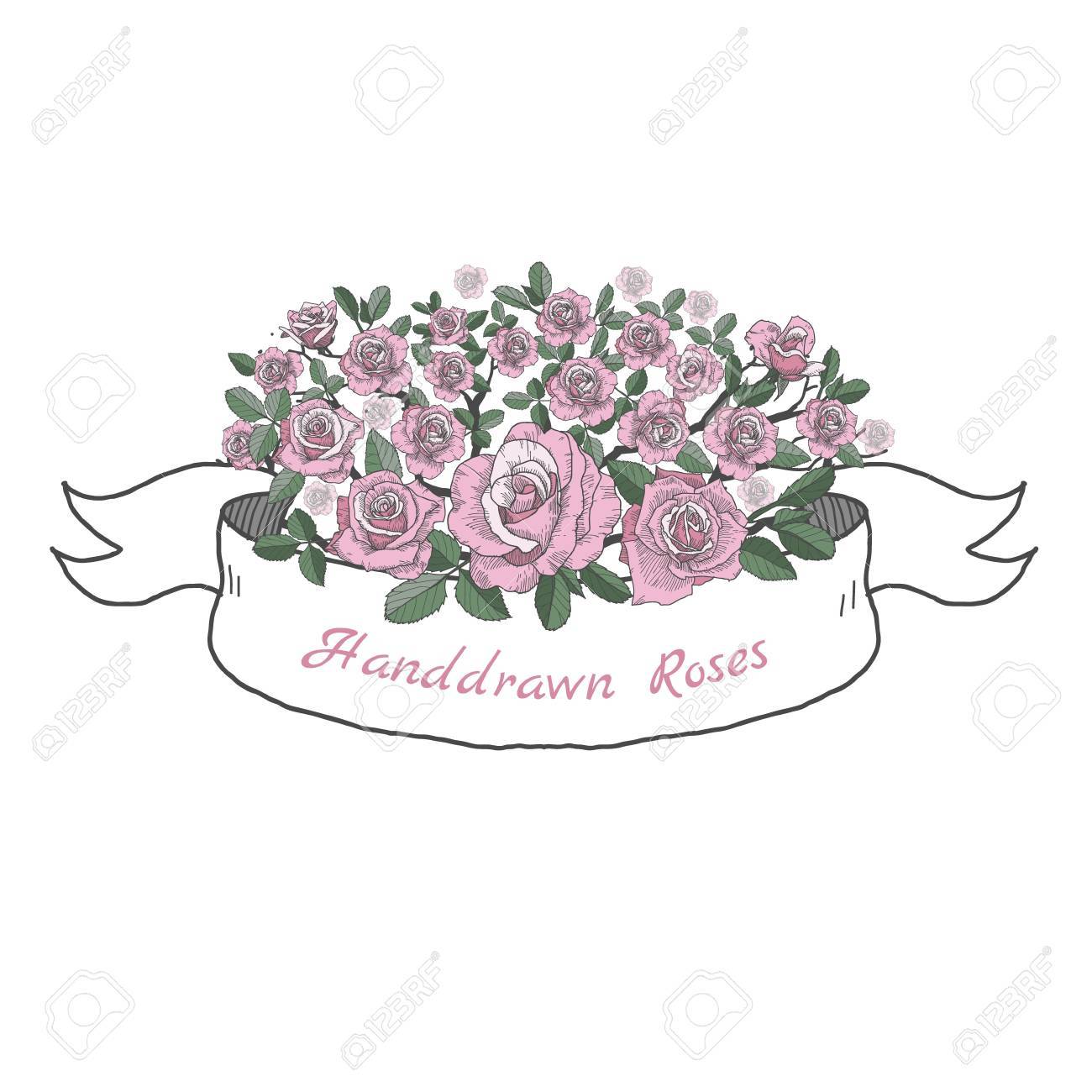 1300x1300 Flower Ribbon Of Rose. Drawing And Sketch On White Background