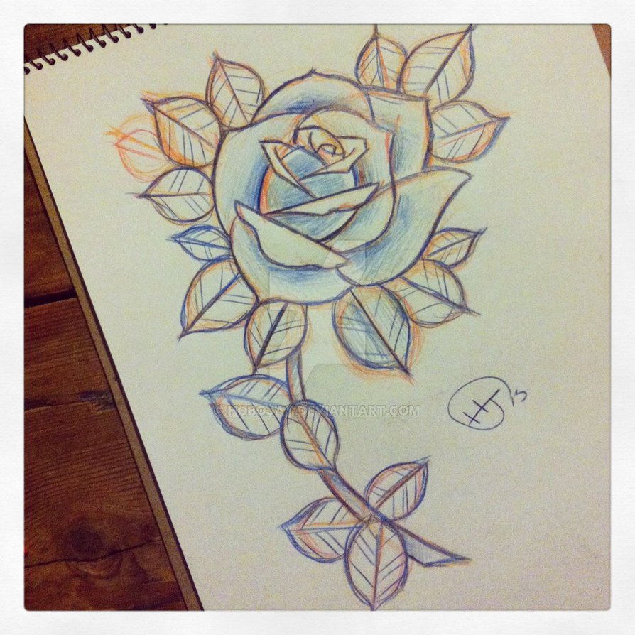 894x894 Rose Stem Sketch By Hobojay