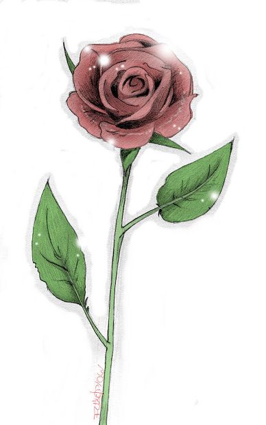 388x620 Rose Rose Tattoos Single Rose Tattoos Art Search Google Stems