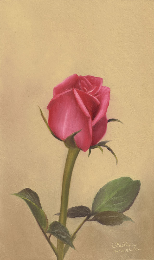 592x1000 Pink Rosebud