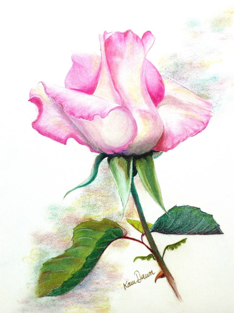 770x1027 Saatchi Art Pink Rosebud Drawing By Karin Best