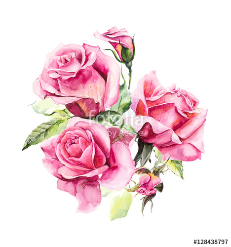 468x500 Rosebush. Pattern From Pink Rose. Wedding Drawings. Watercolor