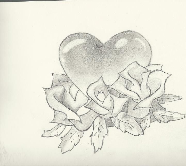 721x645 Easy Drawings Roses Hearts Heart Roses Drawing 26791.jpg