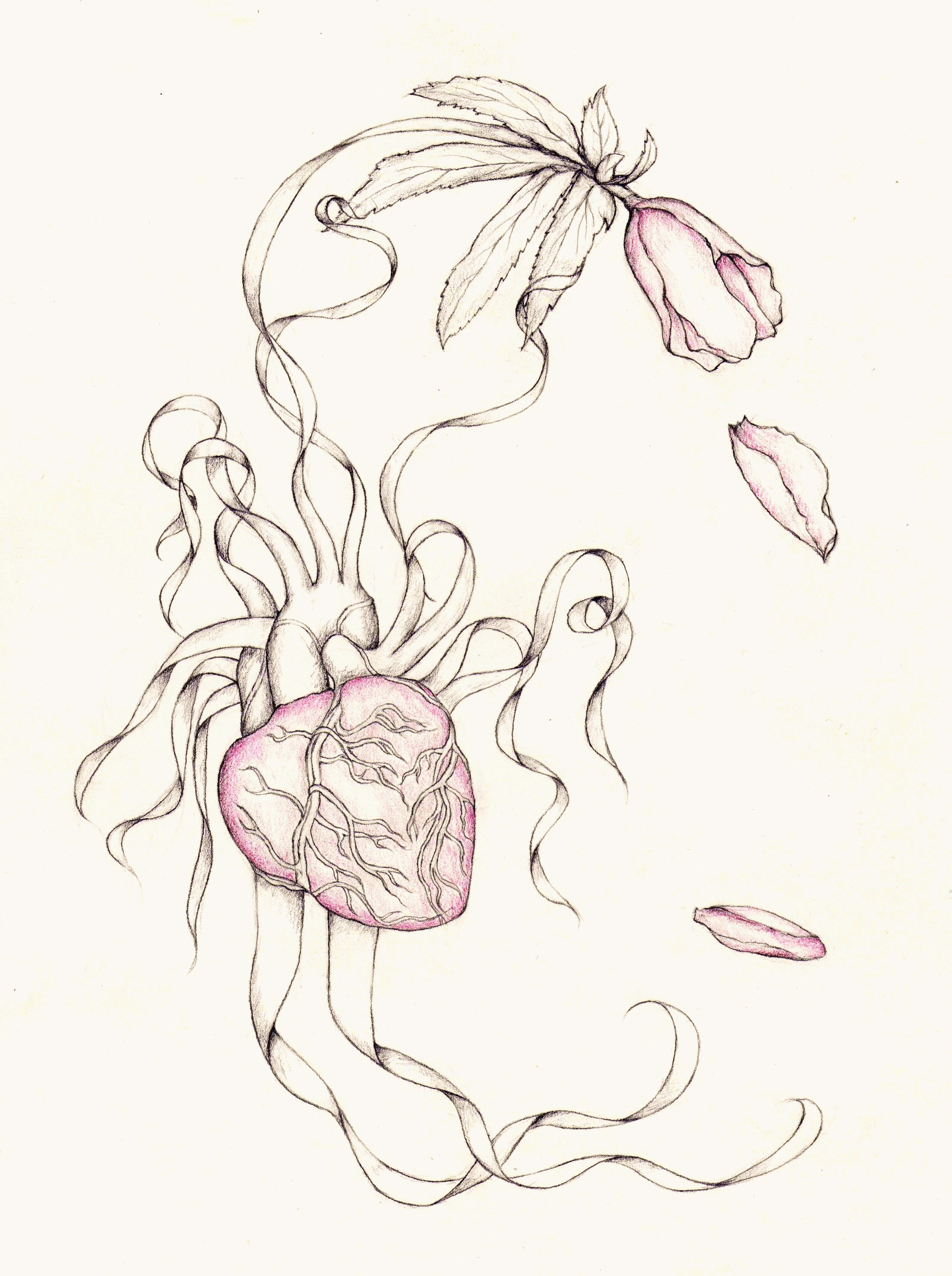 3201x4292 Flowers And Hearts Drawings Pencil Drawings Of Roses And Hearts