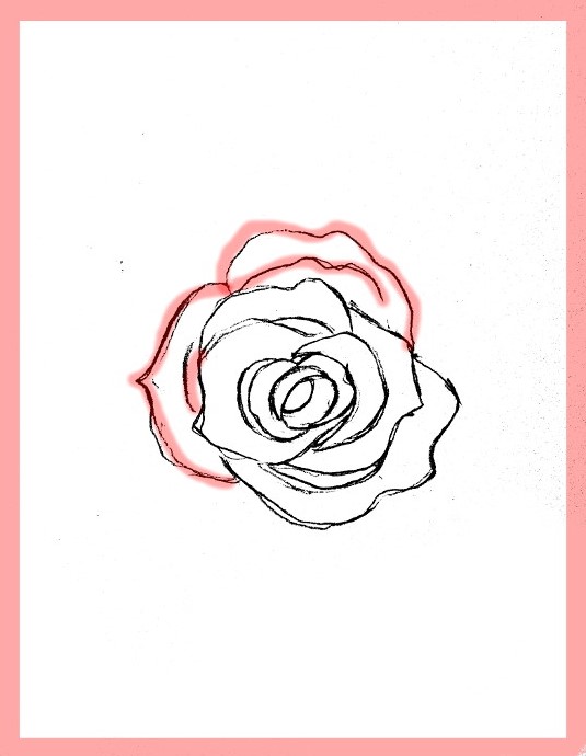 535x690 How To Draw Roses