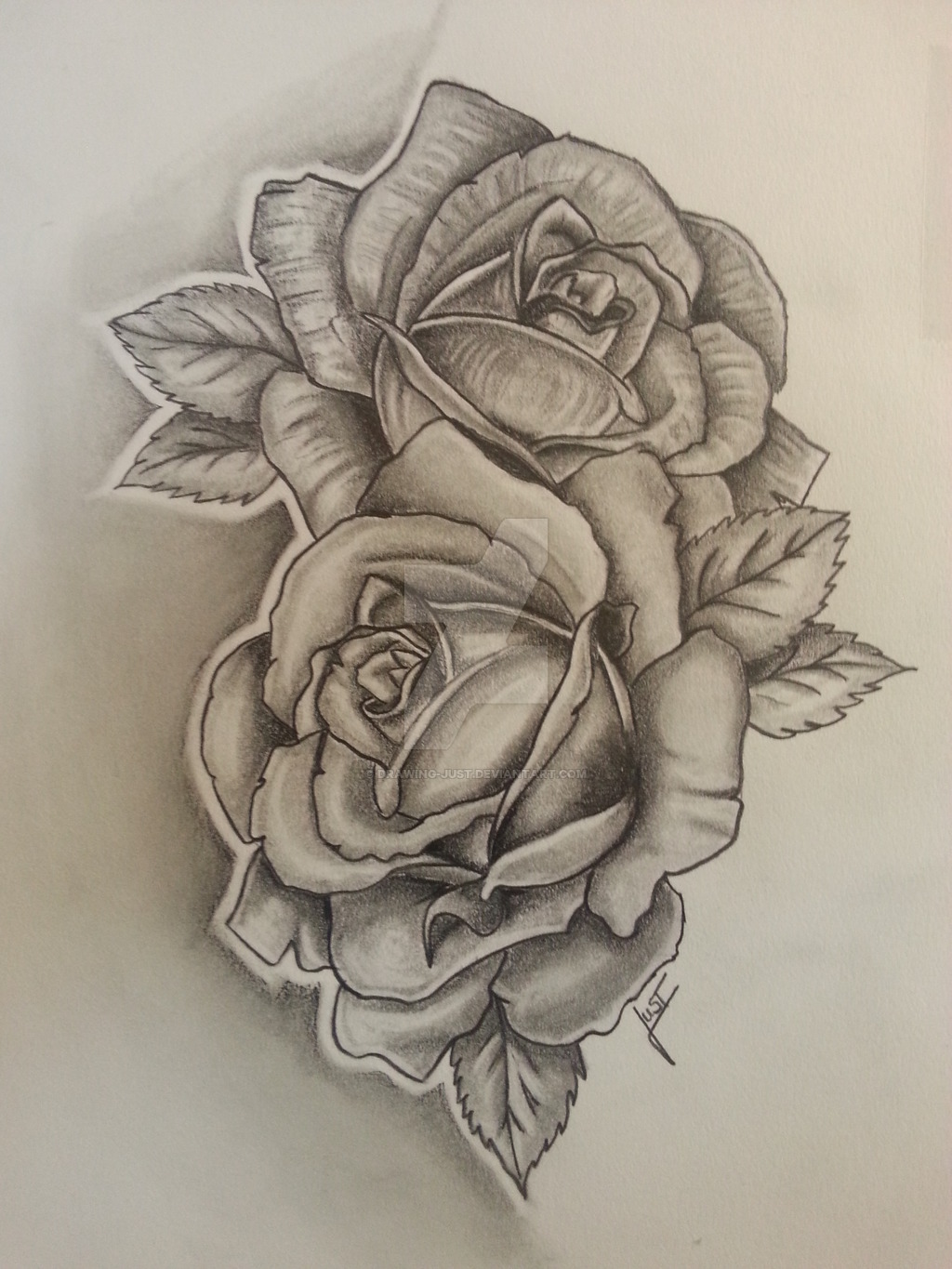 1024x1365 Hoontoidly Rose Drawing Tattoo Images