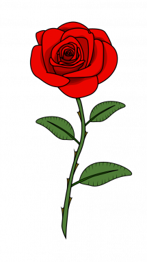 215x382 How To Draw Red Rose, Flowers, Plants, Easy Step By Step Drawing