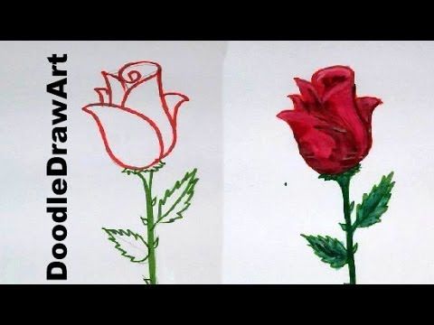 480x360 How To Draw Roses