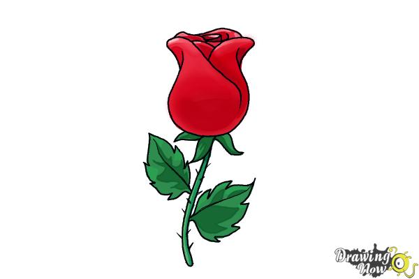 600x400 How To Draw A Rose Easy
