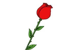 300x200 How To Draw A Rose For Kids
