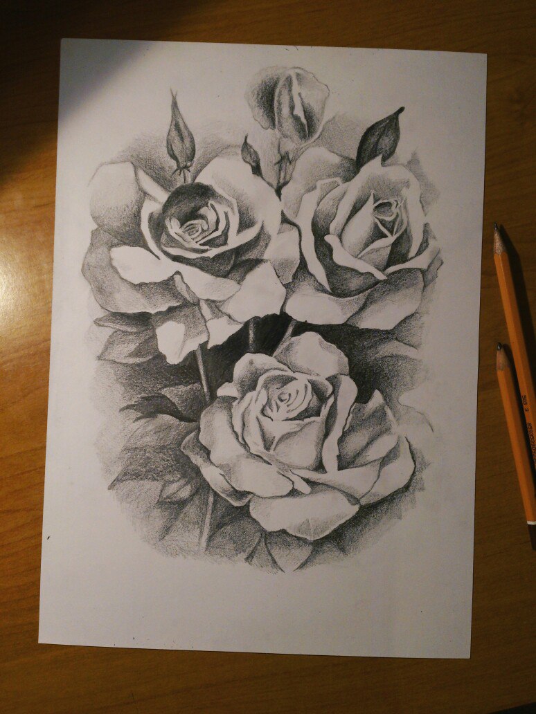 774x1032 Roses Drawing By Alexeyvakarchuk