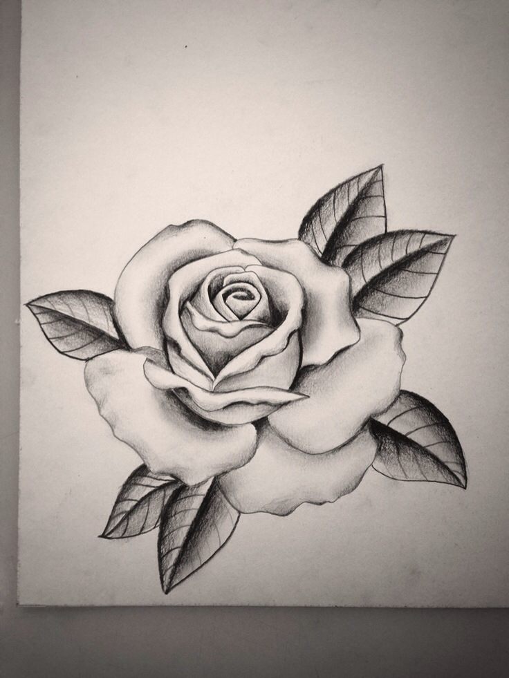 736x981 For Rose Drawing Tattoo