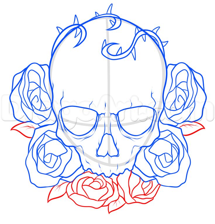 736x766 Resultado De Imagen Para Skull Drawing Tutorial Skull