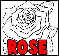 250x236 How To Draw Roses With Easy Step By Step Valentine's Day Drawing