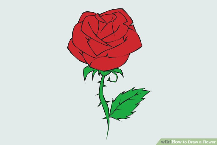 728x485 9 Easy Ways To Draw A Flower