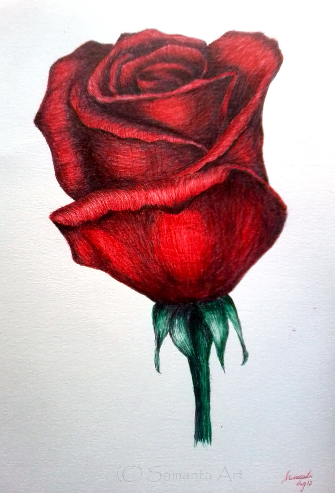 1079x1588 Cliserpudo Black And Red Rose Drawing Images