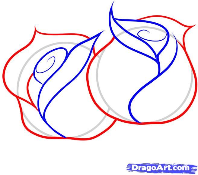 656x578 How To Draw Roses For Kids Step 4 Big E Rose, Draw