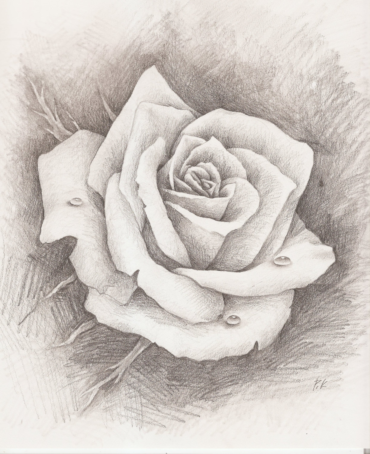 1225x1500 Easy Pencil Shading Drawings Of Rose Pencil Drawings Pencil