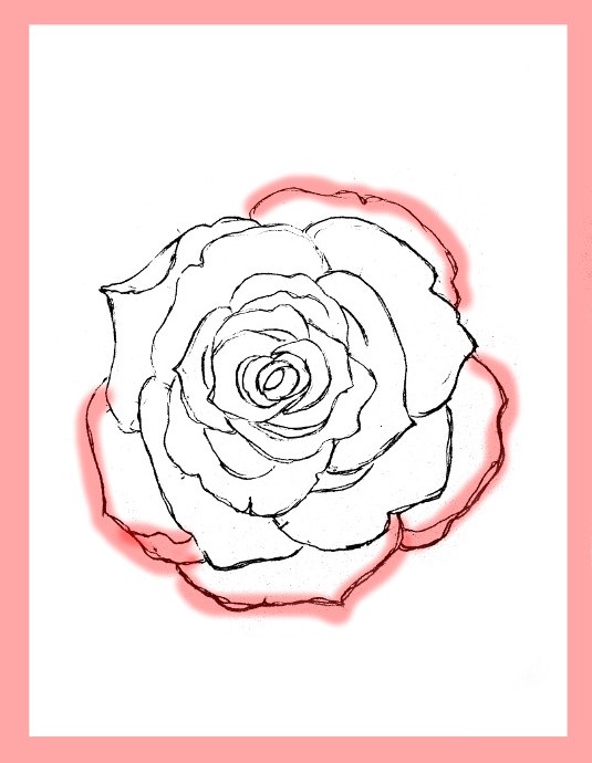535x690 How To Draw Roses
