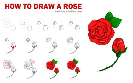 450x281 How To Draw Roses I Draw Fashion