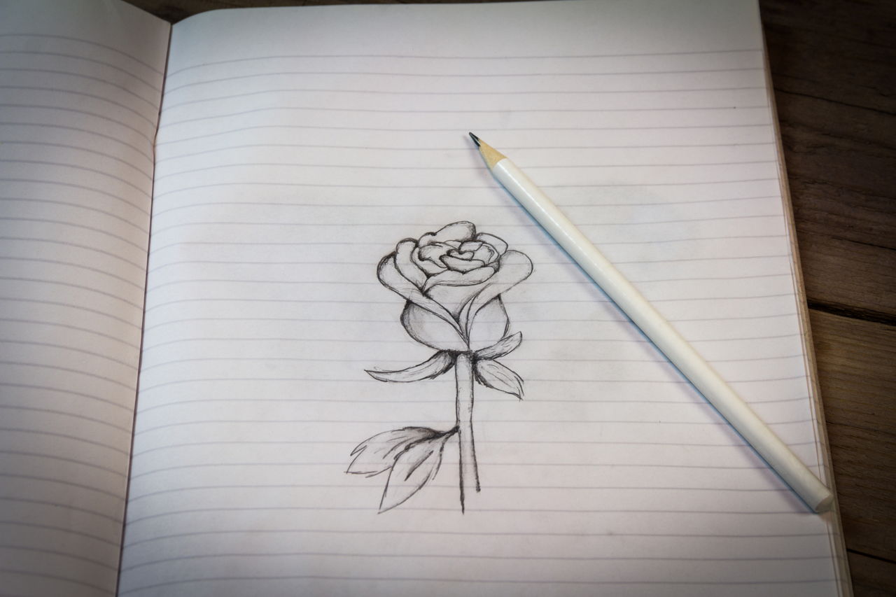 1280x853 To Draw Roses Step By Step