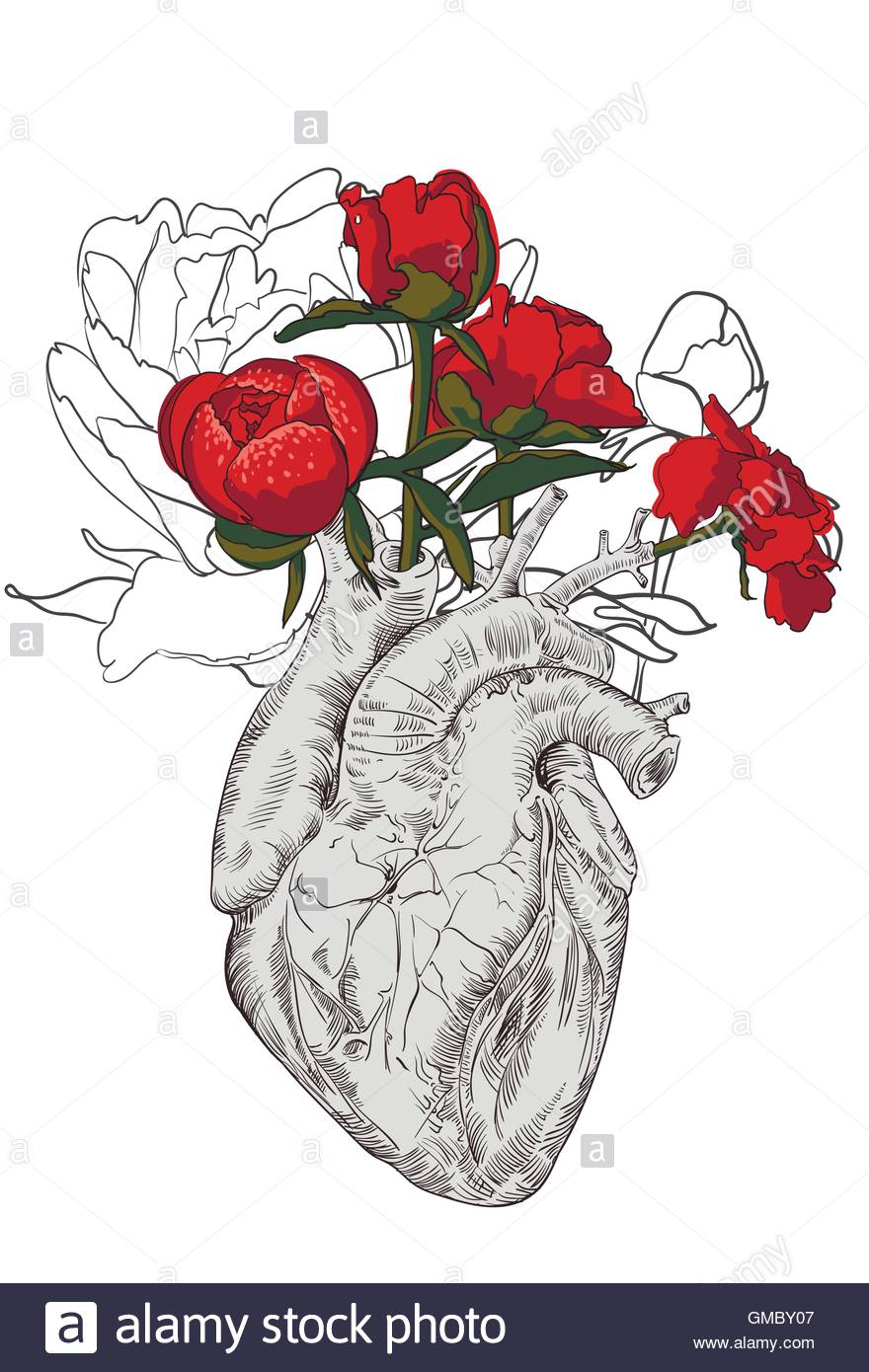880x1390 Drawing Human Heart With Flowers Stock Vector Art Amp Illustration