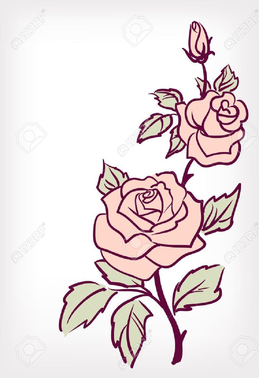 893x1300 Image Result For Pink Rose Drawing Patches Amp Buttons