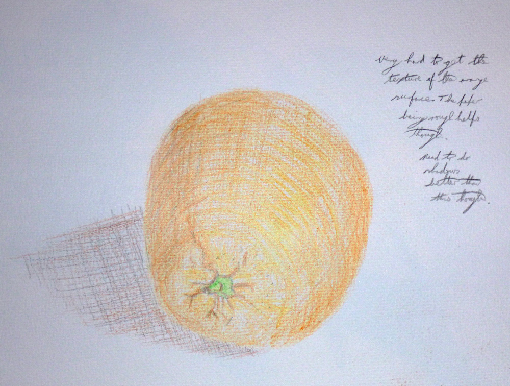 1000x756 Project Drawing Fruit And Vegetables In Colour Chasing Sparrows