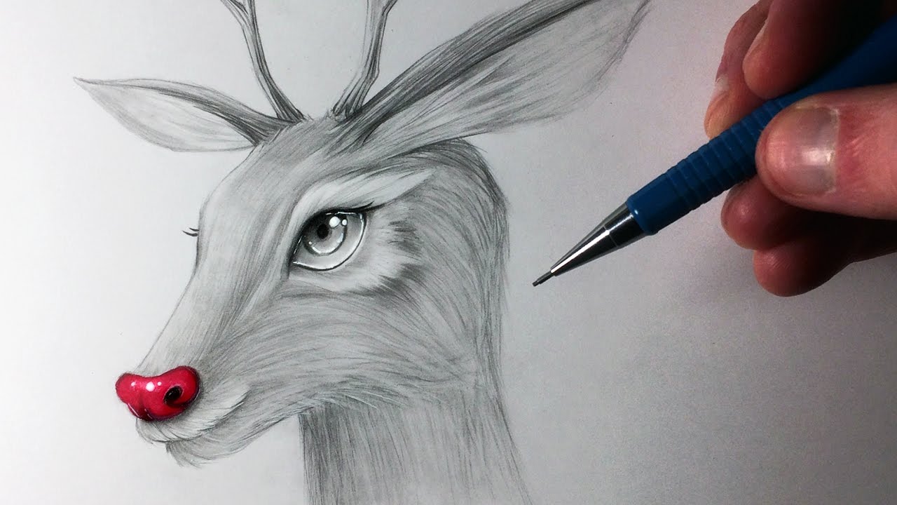 1280x720 How To Draw Rudolph