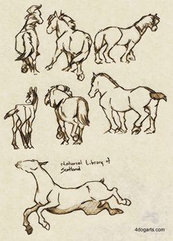 250x348 It's My Birthday. I Generally Don'T Make Lot Of Fussbout