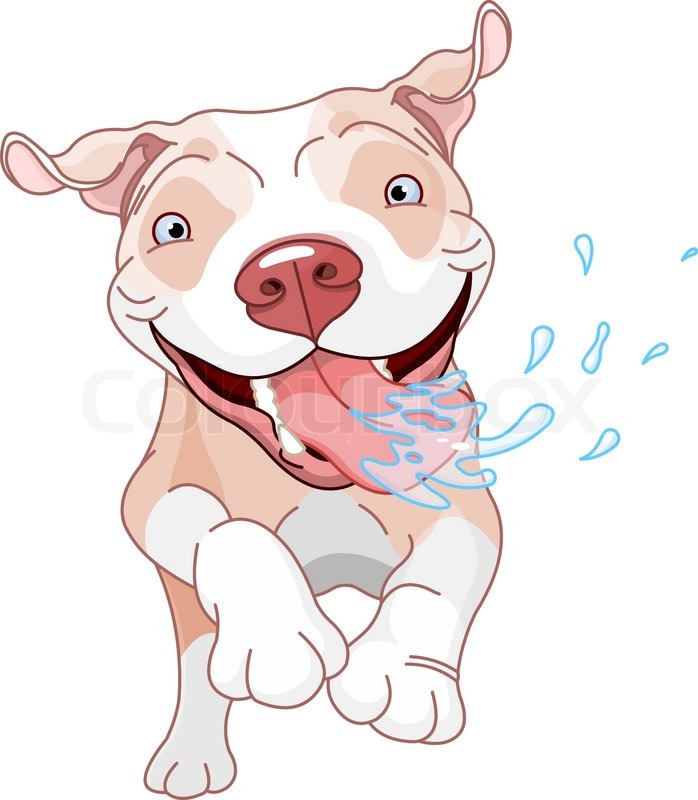 698x800 Cartoon Pit Bulls Drawing Stock Vector