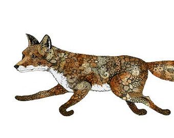 340x270 Animals By Sarah On Etsy Wish List