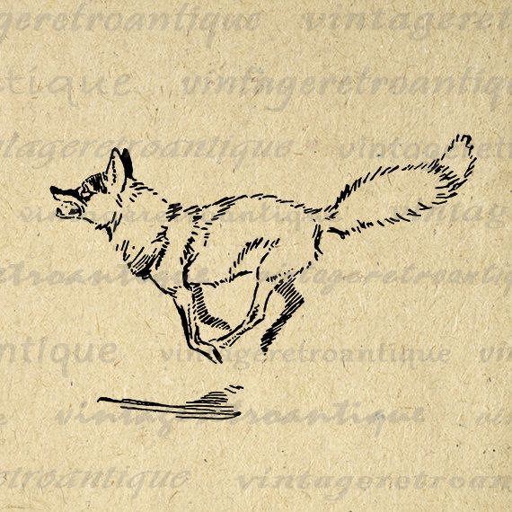 570x570 Running Fox Digital Printable Download Animal Illustration Image