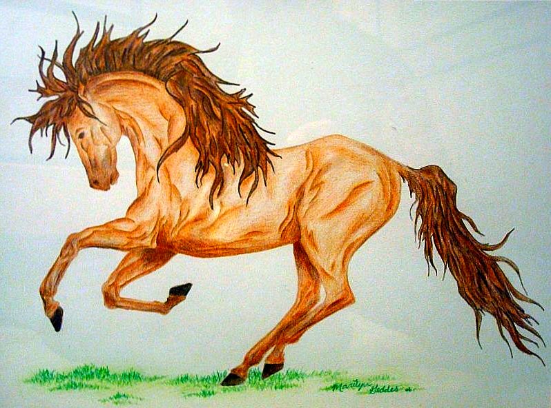 Running Horses Drawing at Free for