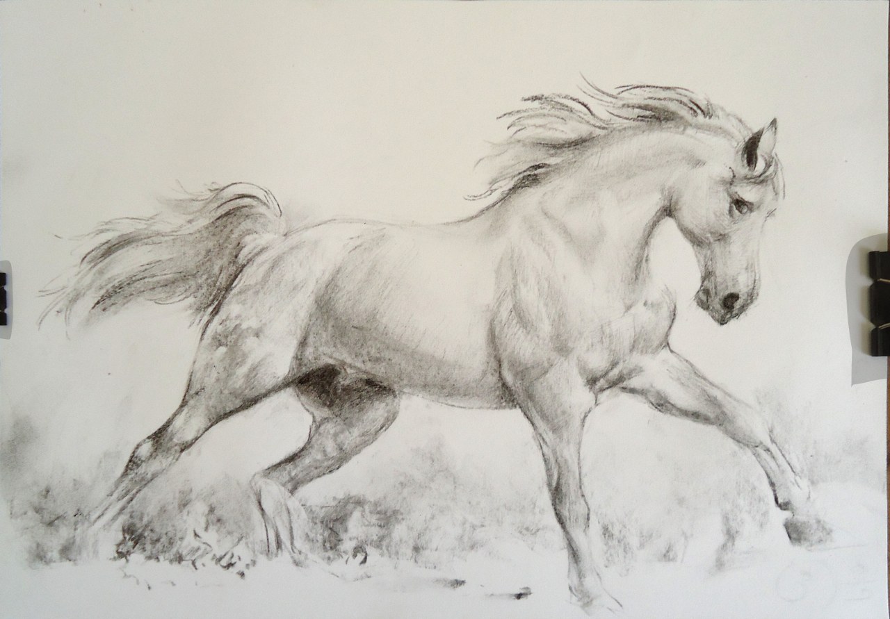 Running Horses Drawing at Free for