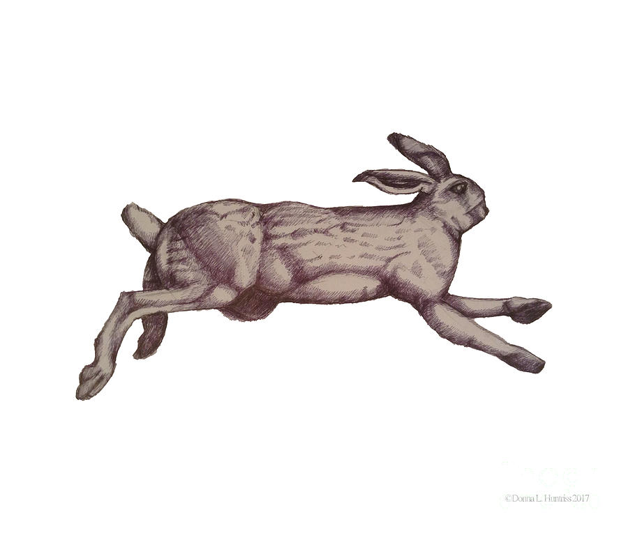 900x765 Running Bunny Jan 27 Drawing By Donna Huntriss