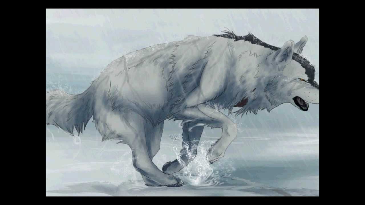 1280x720 Drawing A Running Wolf In Photoshop