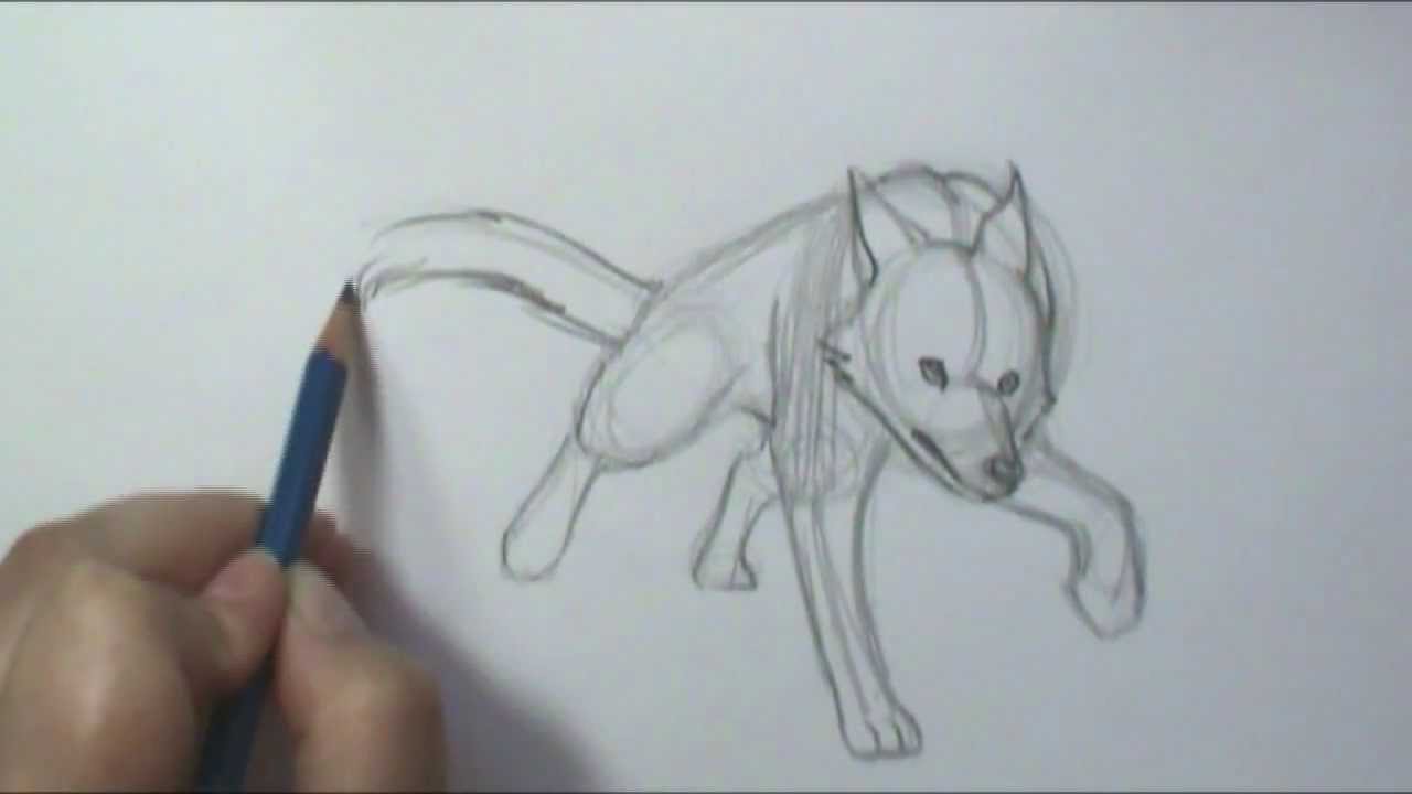 1280x720 How To Draw Motion Wolf Running
