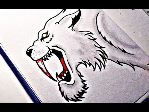 saber tooth tiger drawing at getdrawings  free for