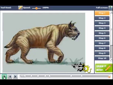 480x360 How To Draw A Saber Tooth Tiger