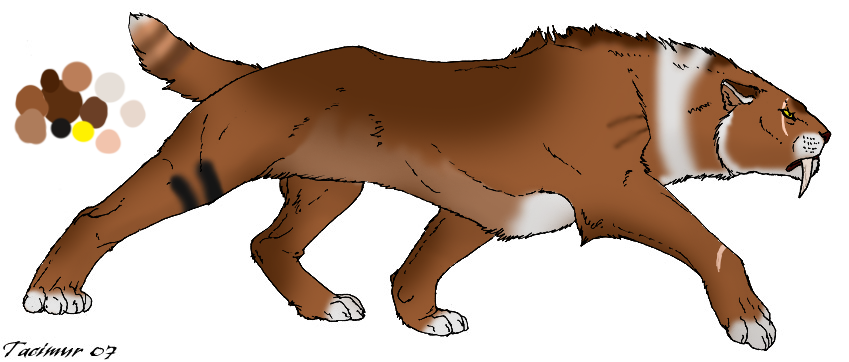 849x362 Resultado De Imagem Para Sabre Tooth Tiger Drawing Drawings